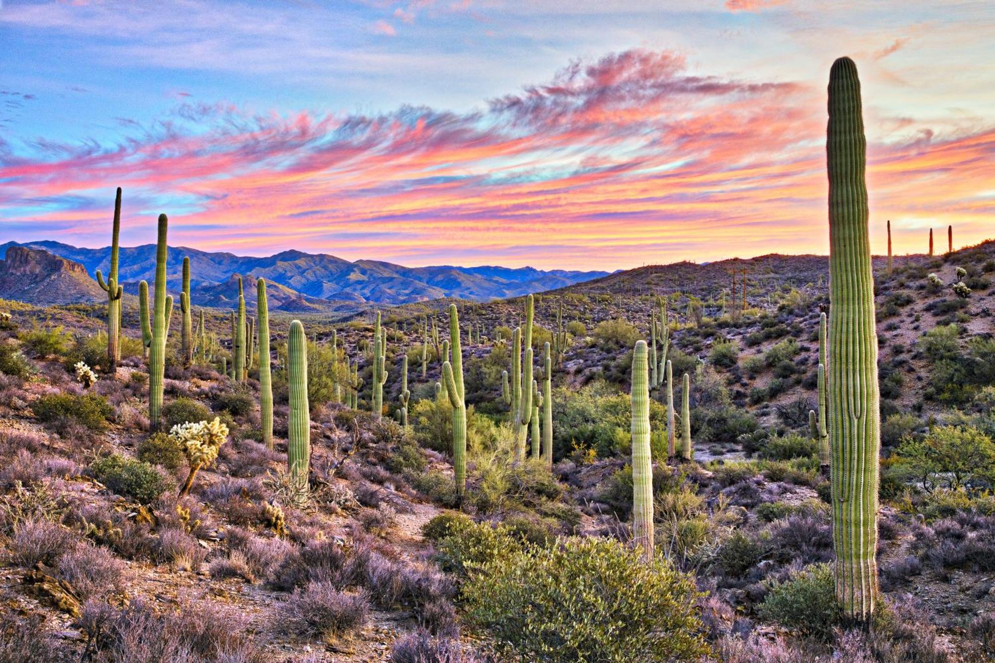 Clubgate Villa & Kierland Escape Scottsdale Szoba fotó